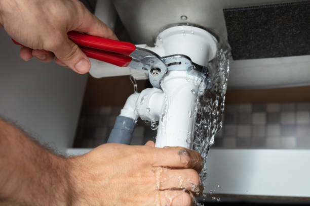  Nogales, AZ Water damage restoration Pros