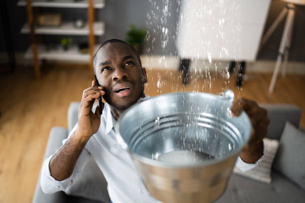 Best 24-hour water damage restoration  in Nogales, AZ