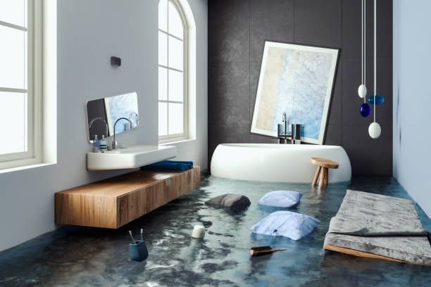 Best Water damage cleanup near me  in Nogales, AZ