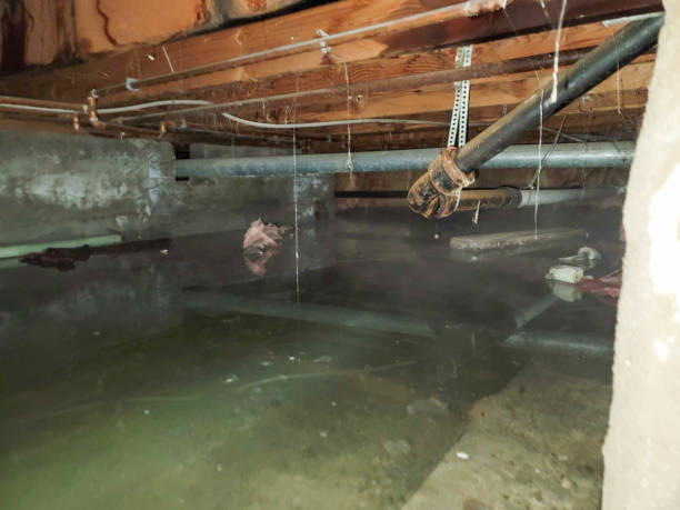 Water damage restoration experts in Nogales, AZ