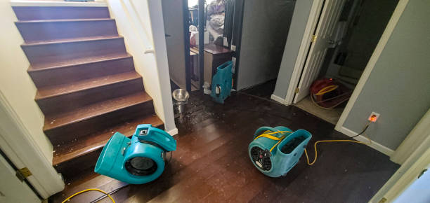 Professional Water damage restoration in Nogales, AZ