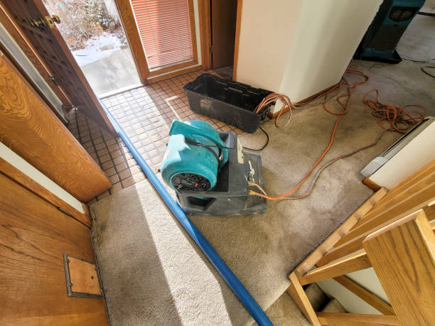 Best Fire Damage Restoration  in Nogales, AZ