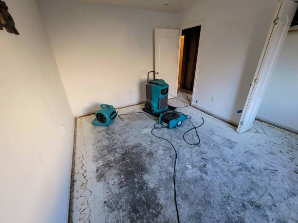 Best Flood damage cleanup  in Nogales, AZ