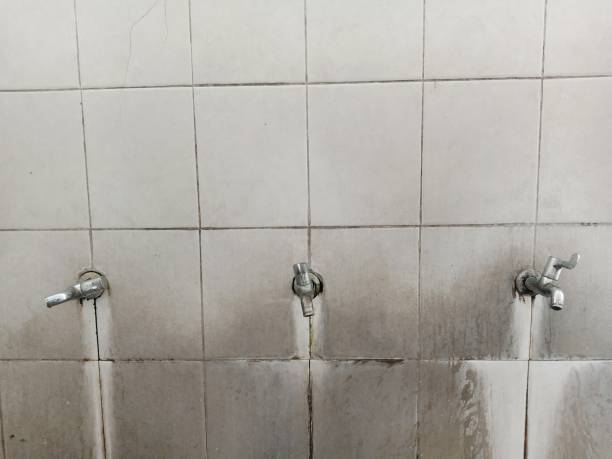 Water damage restoration insurance claims in Nogales, AZ