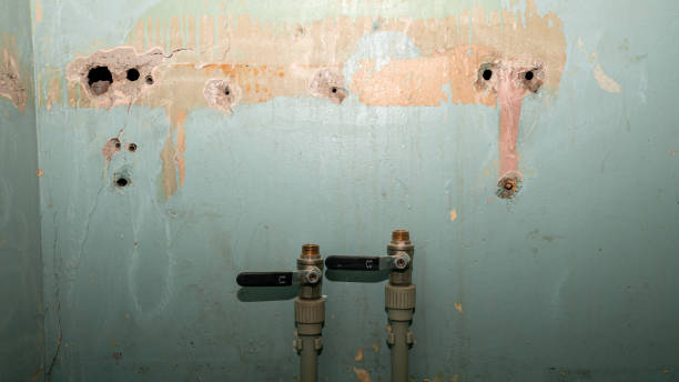 Best Water damage mitigation services  in Nogales, AZ