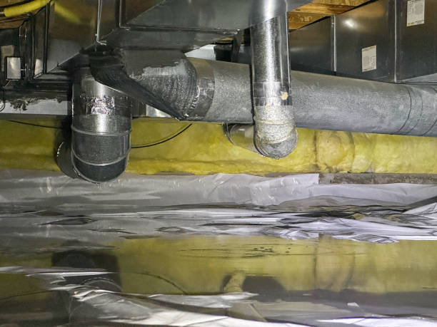 Best Residential water damage restoration  in Nogales, AZ
