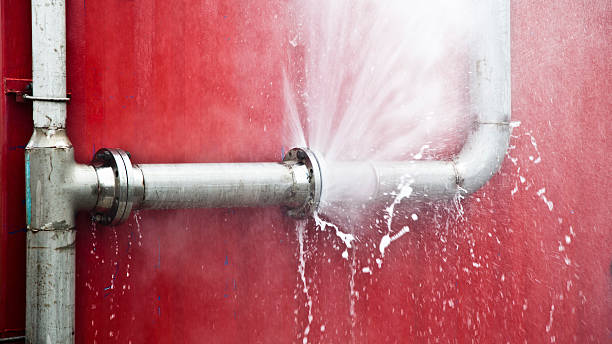 Best Water damage restoration specialists  in Nogales, AZ