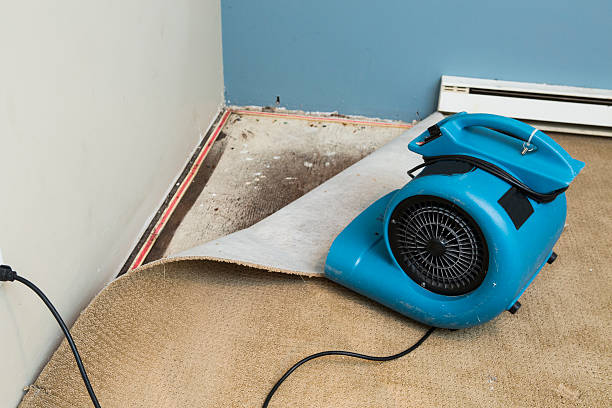 Sewage cleanup and water damage restoration in Nogales, AZ