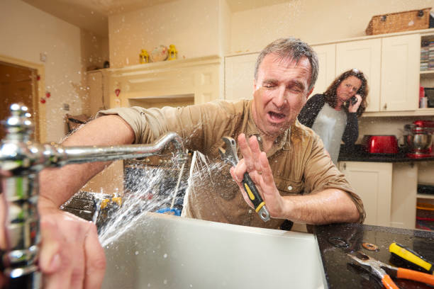 Best Water damage restoration insurance claims  in Nogales, AZ